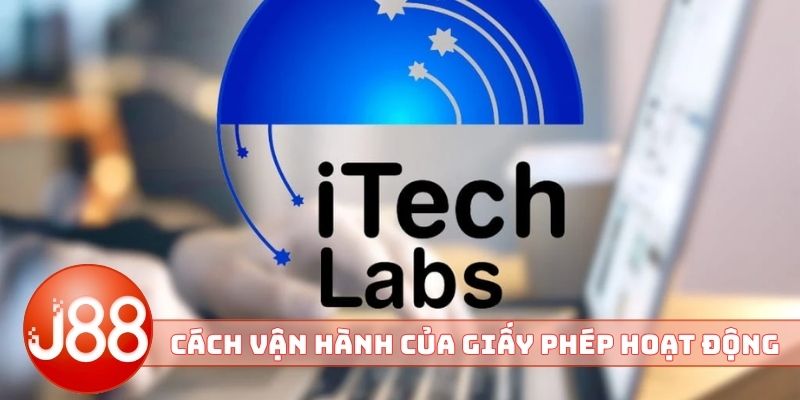 Cách thức vận hành của giấy phép hoạt động