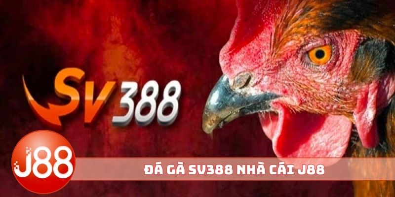 Đá Gà SV388 Nhà Cái J88