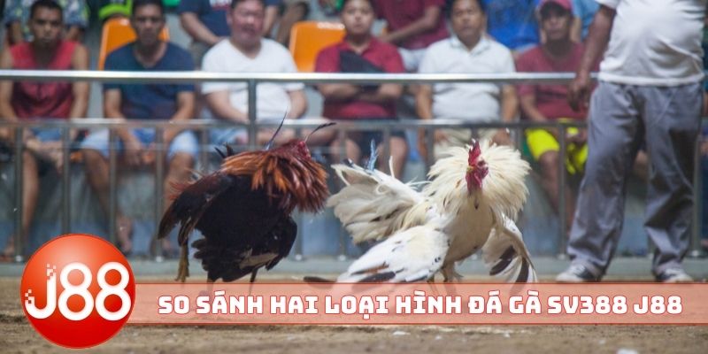 So sánh hai loại hình đá gà SV388 nhà cái J88