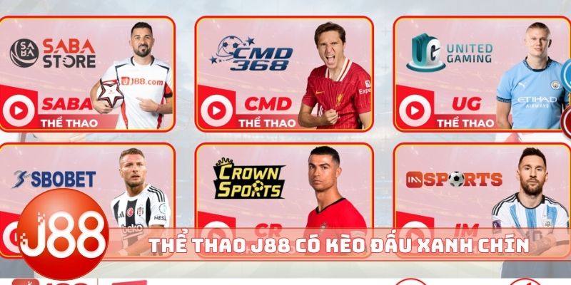 Thể thao J88 có kèo đấu xanh chín